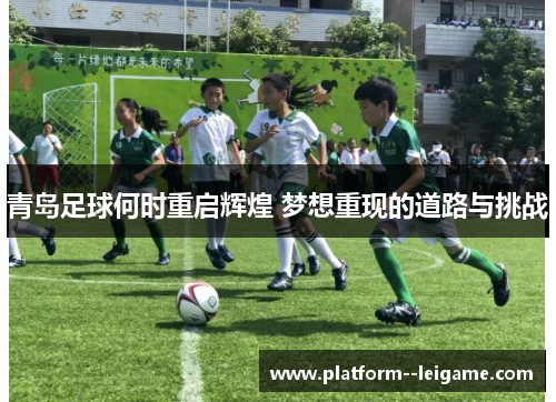 青岛足球何时重启辉煌 梦想重现的道路与挑战