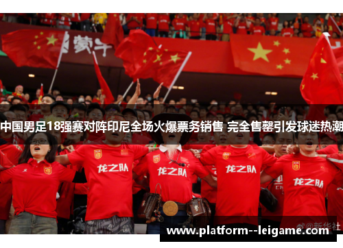 中国男足18强赛对阵印尼全场火爆票务销售 完全售罄引发球迷热潮