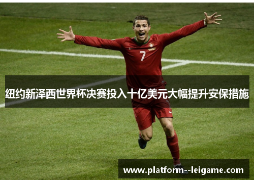 纽约新泽西世界杯决赛投入十亿美元大幅提升安保措施