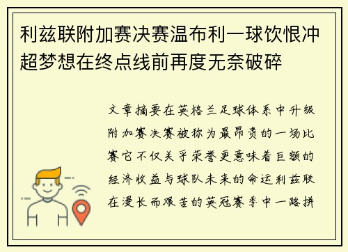 利兹联附加赛决赛温布利一球饮恨冲超梦想在终点线前再度无奈破碎